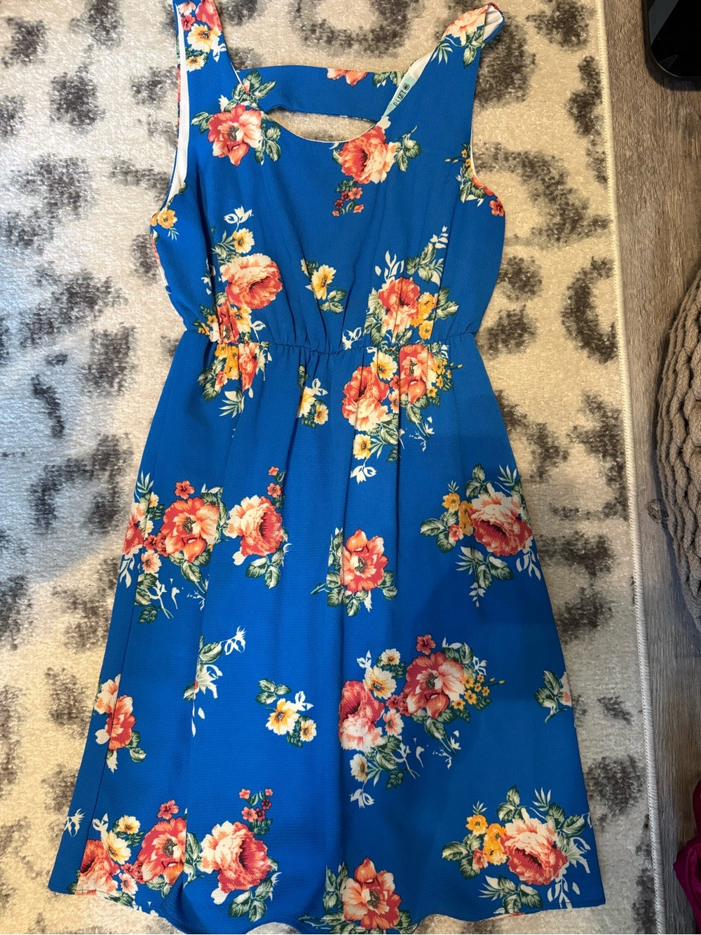 Blue Floral Sleeveless Summer Dress